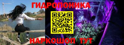 mdma Кингисепп