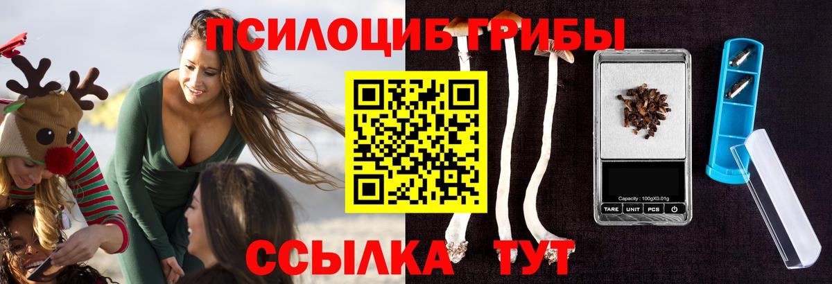Галлюциногенные грибы Psilocybe  продажа наркотиков  Котлас  Вход с VPN  Псилоцибиновые грибы мицелий 